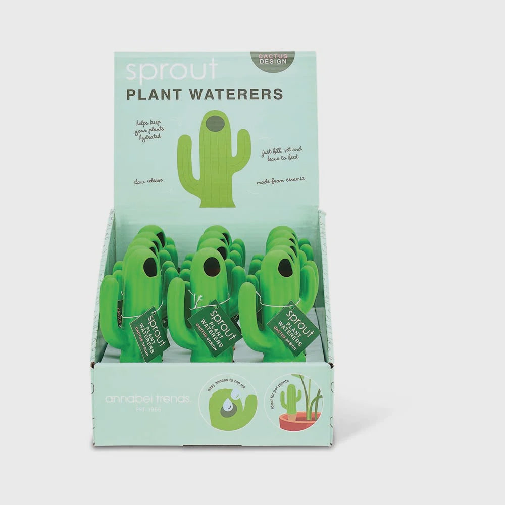 SPROUT PLANT WATERERS CDU 15pc - CACTUS