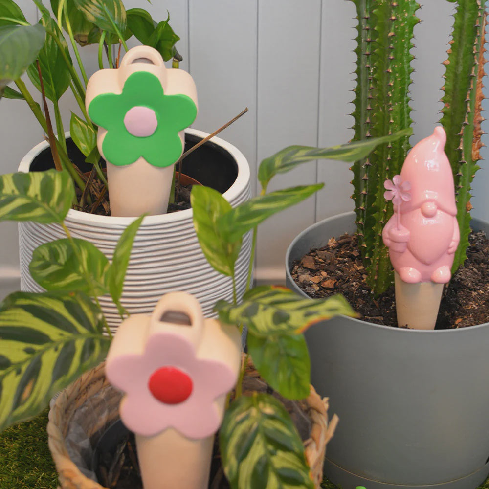 SPROUT PLANT WATERERS  - GNOME